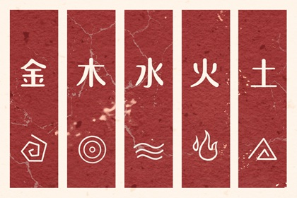 道家生辰八字 排八字元亨利贞 算八字星尘 精准流年运程 八字测富贵
